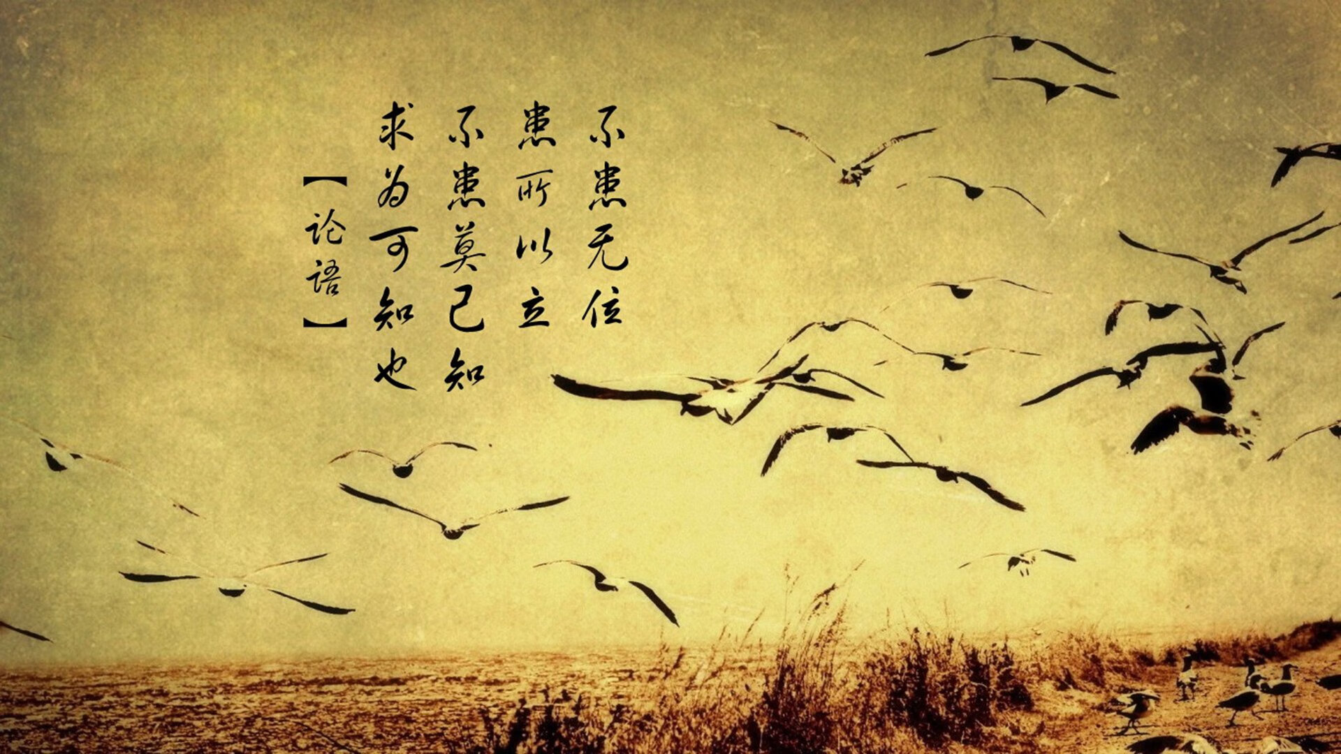 九游电脑版-国际合作：交流赛让文化碰撞更精彩，国际交流合作协议