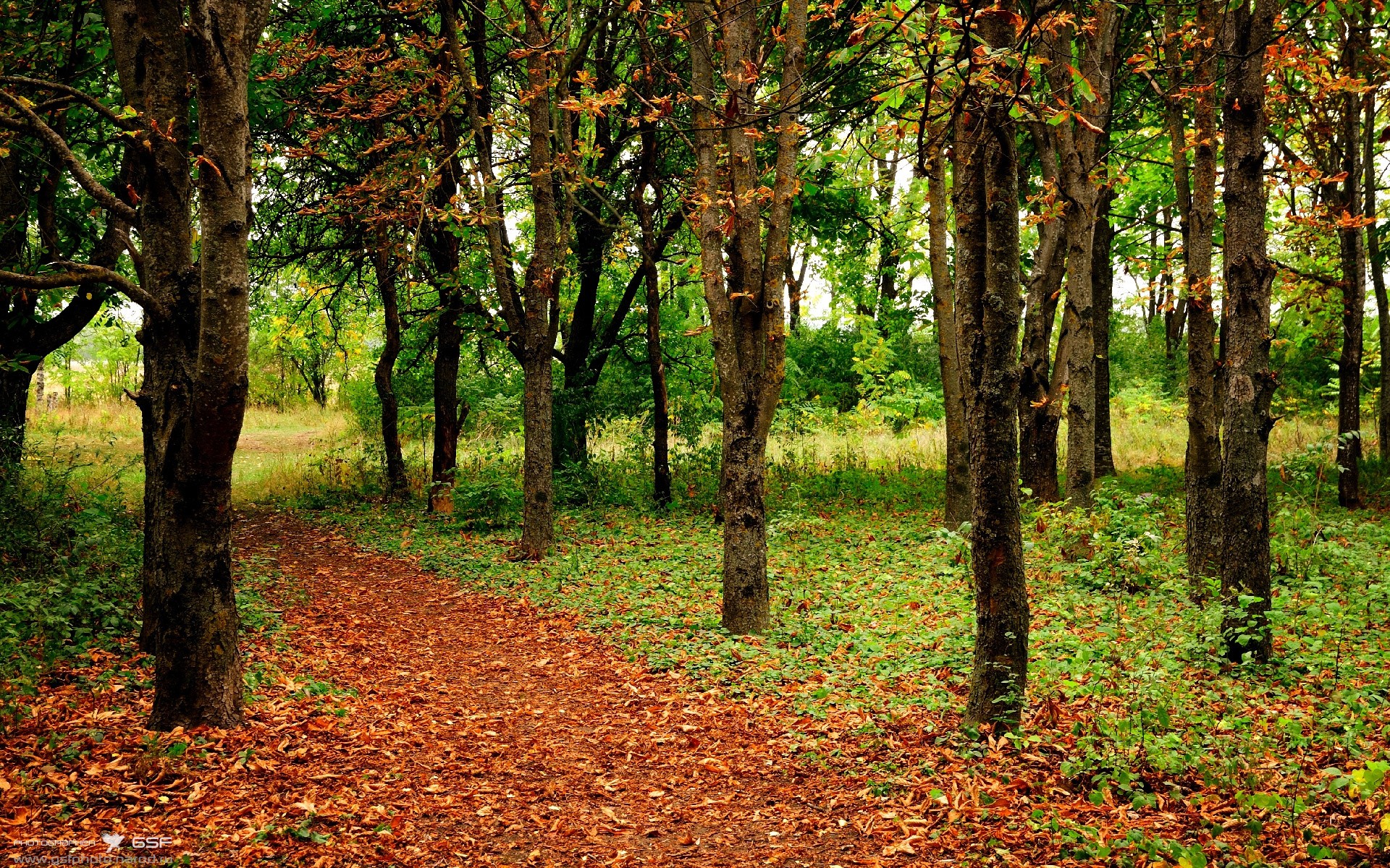 九游app下载中心-巴黎看台爆满，却未能见证胜利，巴黎视察