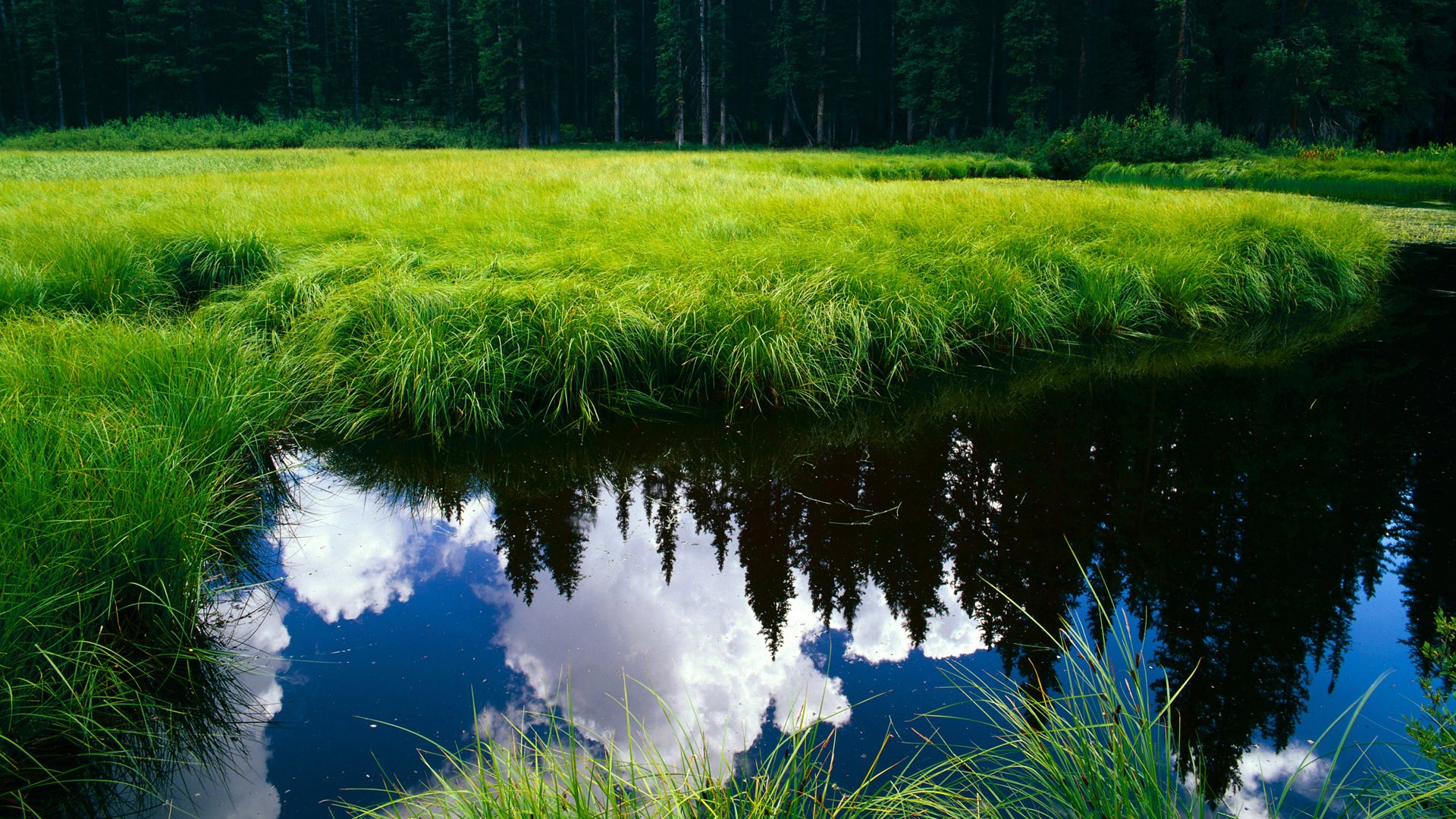 九游(jiuyou)官方网站-中超赛季中段形势明朗，争冠保级双线紧张，中超赛季结束时间