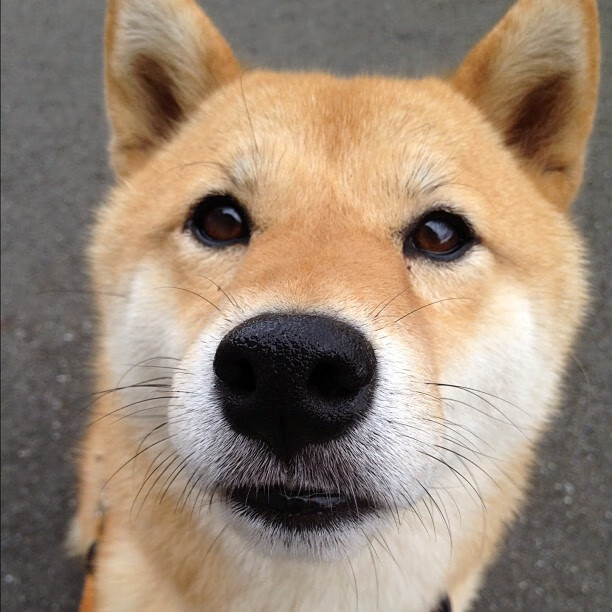 九游娱乐(jiuyou)官网-广东宏远球队比赛经验不断积累，广东宏远球队人员名单