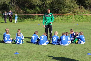 九游网页版官网入口-中国篮球教练员战术创新能力培养及培训机制研究，全国篮球教练员岗位培训