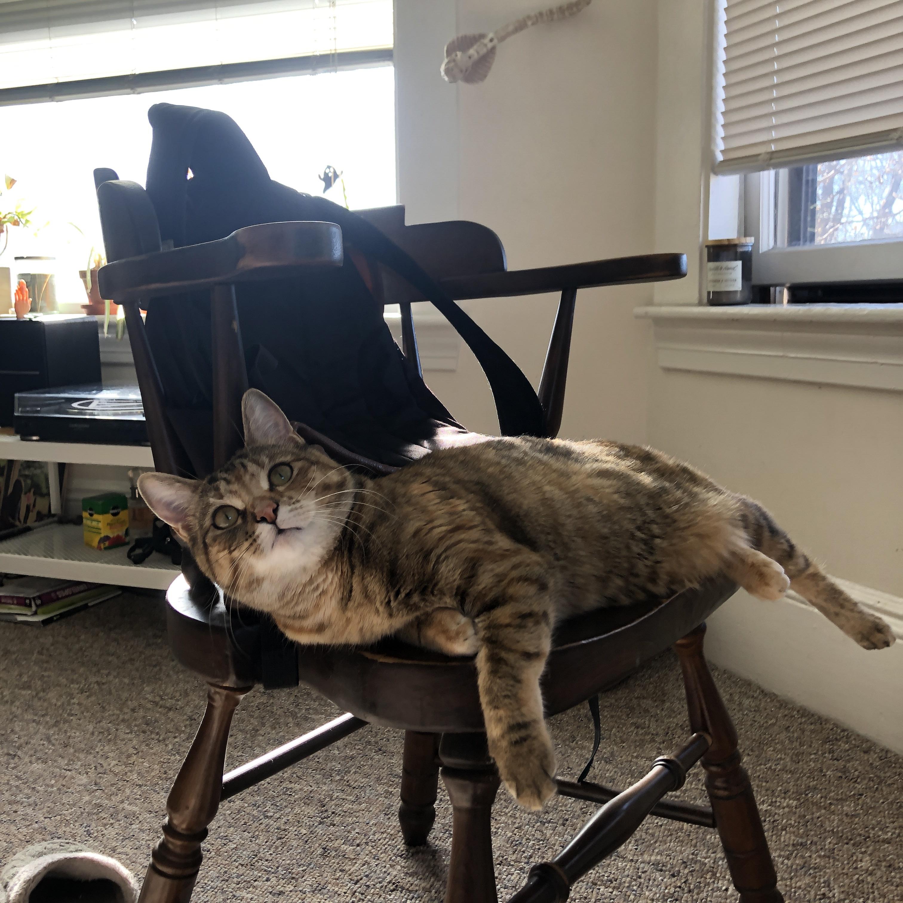 JIU YOU GAME-蛙泳选手配速稳健，晋级可期，蛙泳配合比例